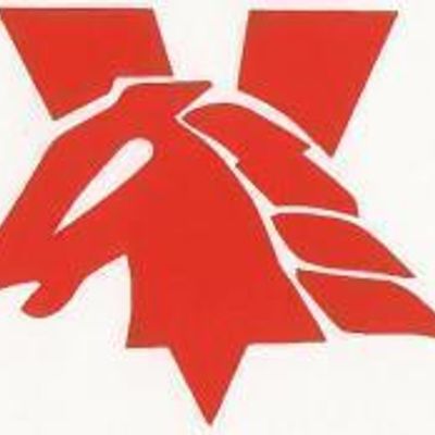 Mandurah Mustangs Junior Football Club