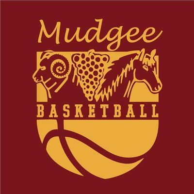 Mudgee Basketball Association