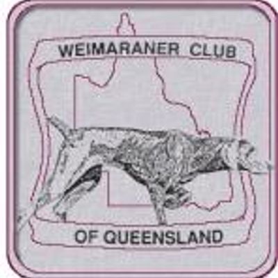 Weimaraner Club of Qld Inc