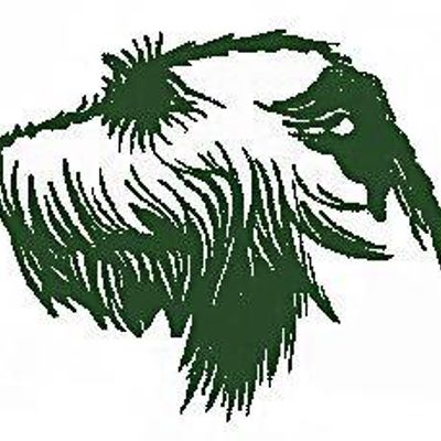 Irish Wolfhound Club of NSW Inc.