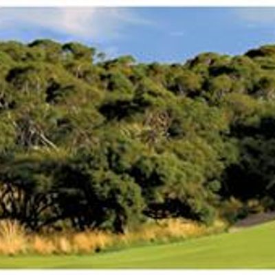 Gunnamatta Golf Club