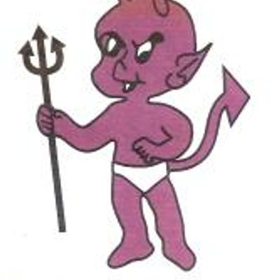 Denman Sandy Hollow Junior Rugby League Inc.