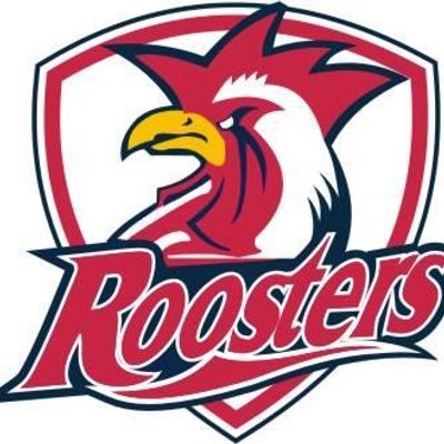 South Lakes Roosters JRLFC