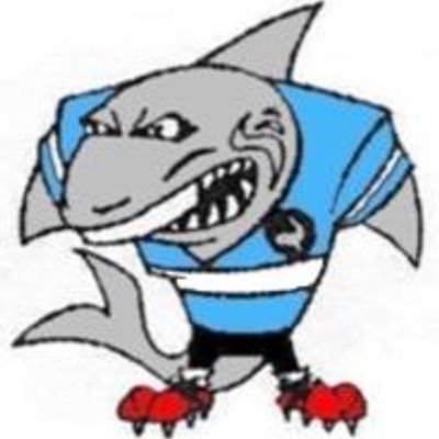 Tullibigeal Lake Cargelligo (Group 20 Rugby League)