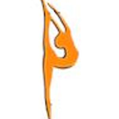 Glen Iris Rhythmic Gymnastics Club