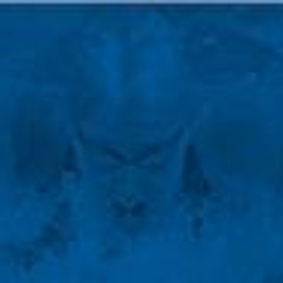 Thirroul Amateur Swim Club