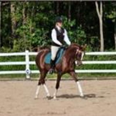 Northern Suburbs Pony Club