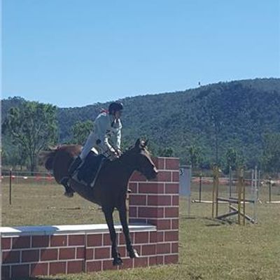 Ayr Pony & Hack Club