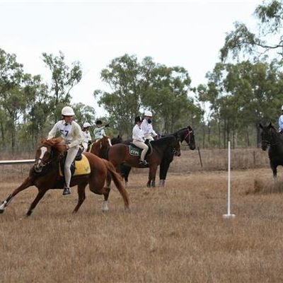 Black River Pony & Hack Club