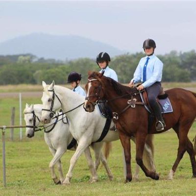 Herbert River Pony Club 