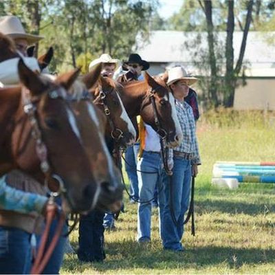 Dingo Pony Club
