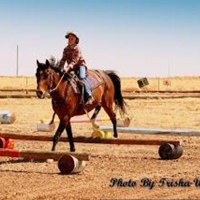 Flinders Pony Club