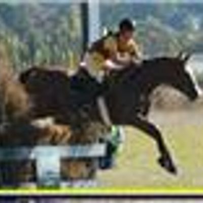 Tasmanian Pony & Riding Club