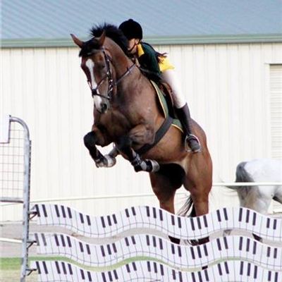 Orange Grove Horse & Pony Club