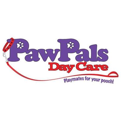 PawPals DayCare