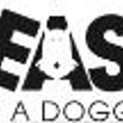 Unleashed Doggie Daycare