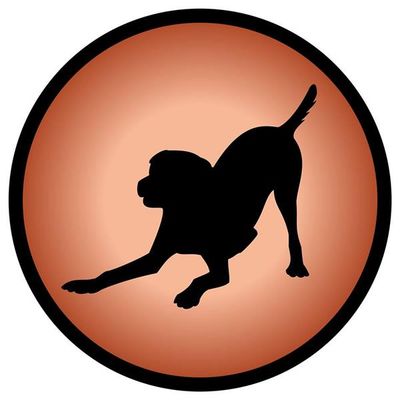 Alpha Doggy PlayCare