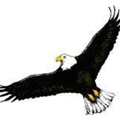 Beverly Hills Eagles Cricket Club