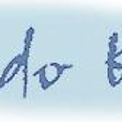 Seido Karate - Northern Rivers