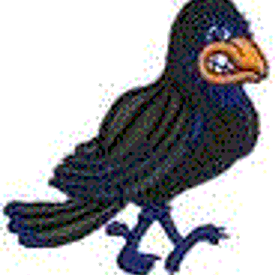 Willetton Crows Cricket Club