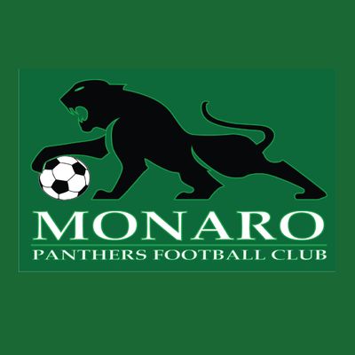 Monaro Panthers FC