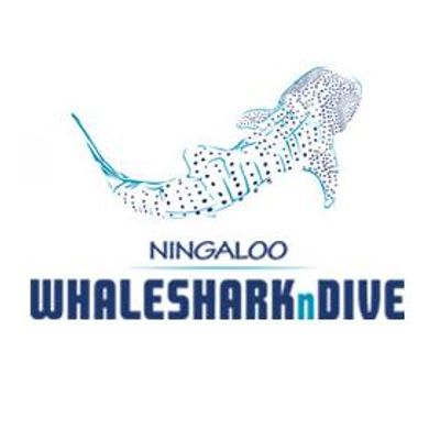 Ningaloo WhaleSharknDive