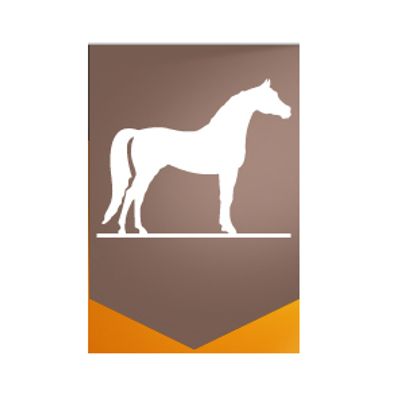 Hunter Valley Horse Riding & Adventures