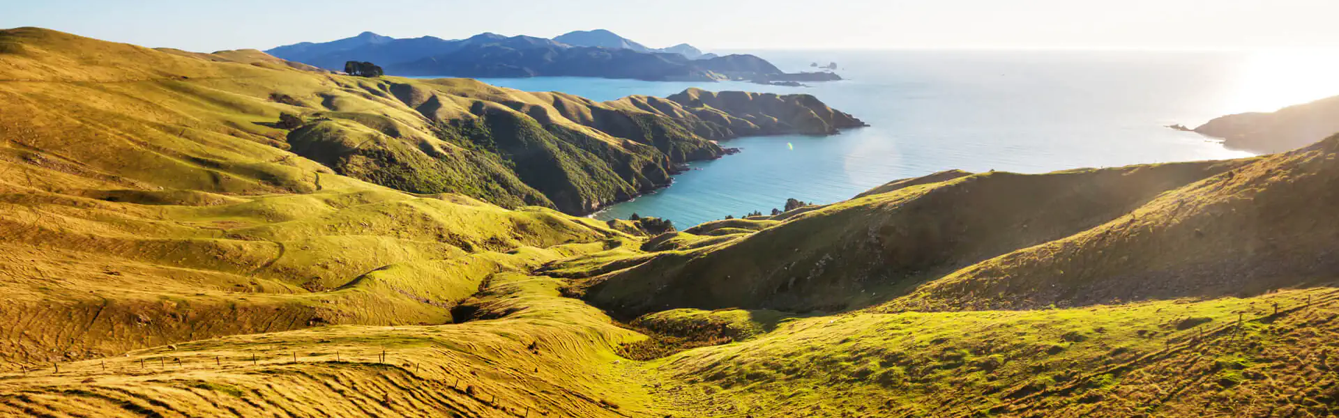 Connecting New Zealand to sports, recreation & wellbeing