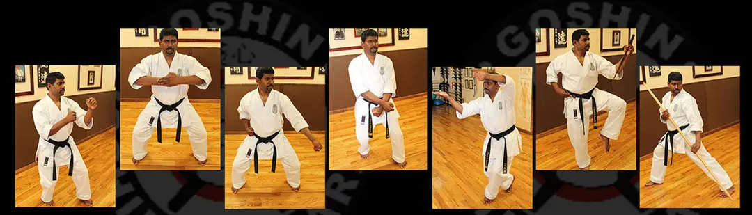 Goshin Isshinryu Karate Association