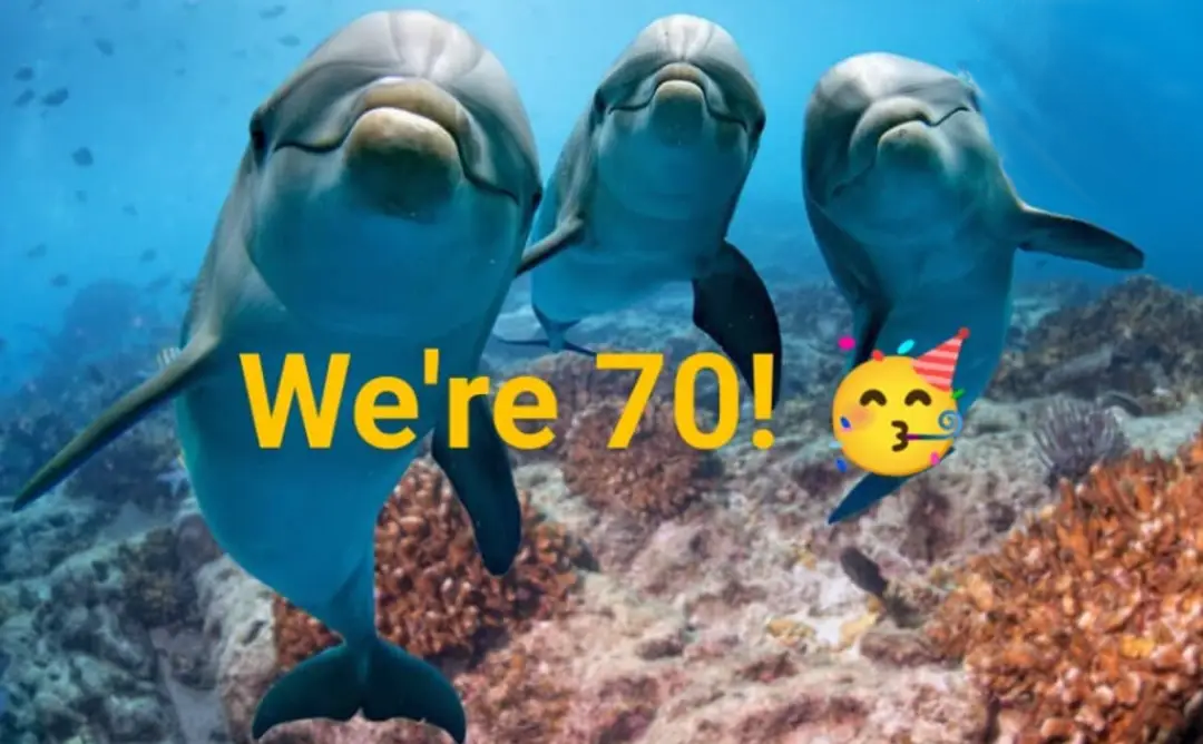 Sans Souci Dolphins Spearfishing Club