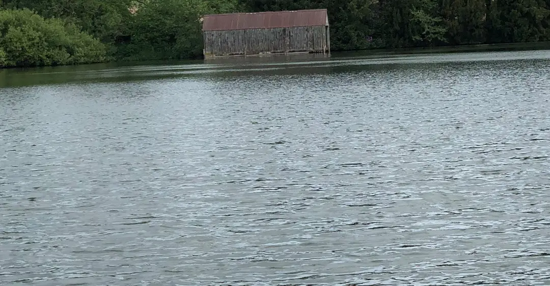 Boathouse Fisheries