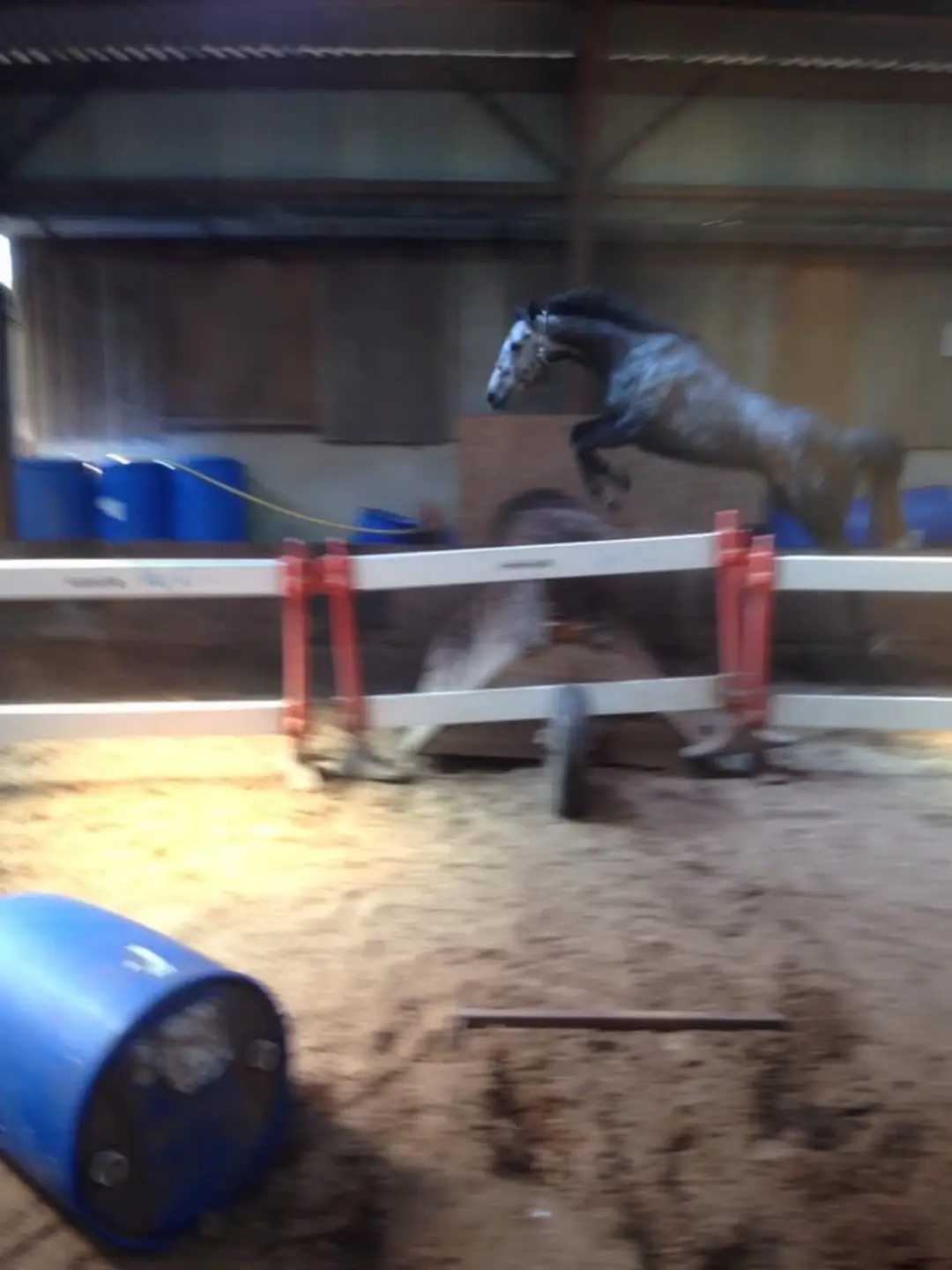 Red Hill Farm Gallops