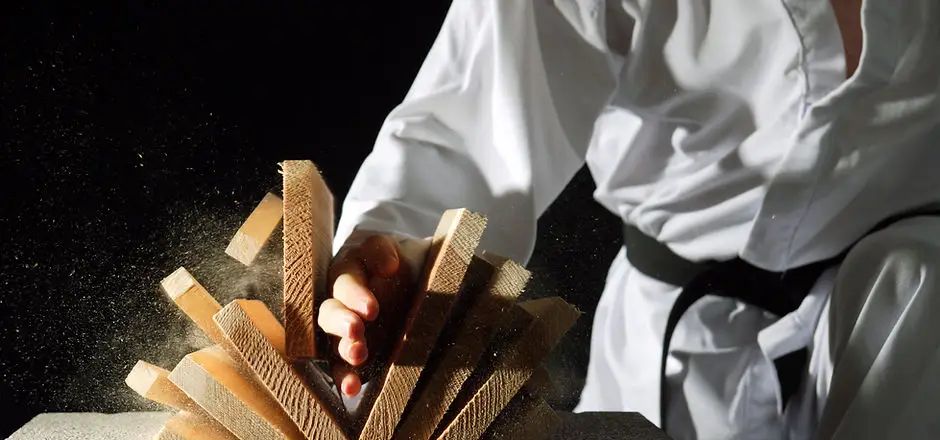 Burtnik Karate
