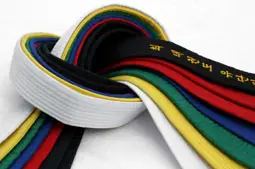 Enfield School of Tae Kwon Do