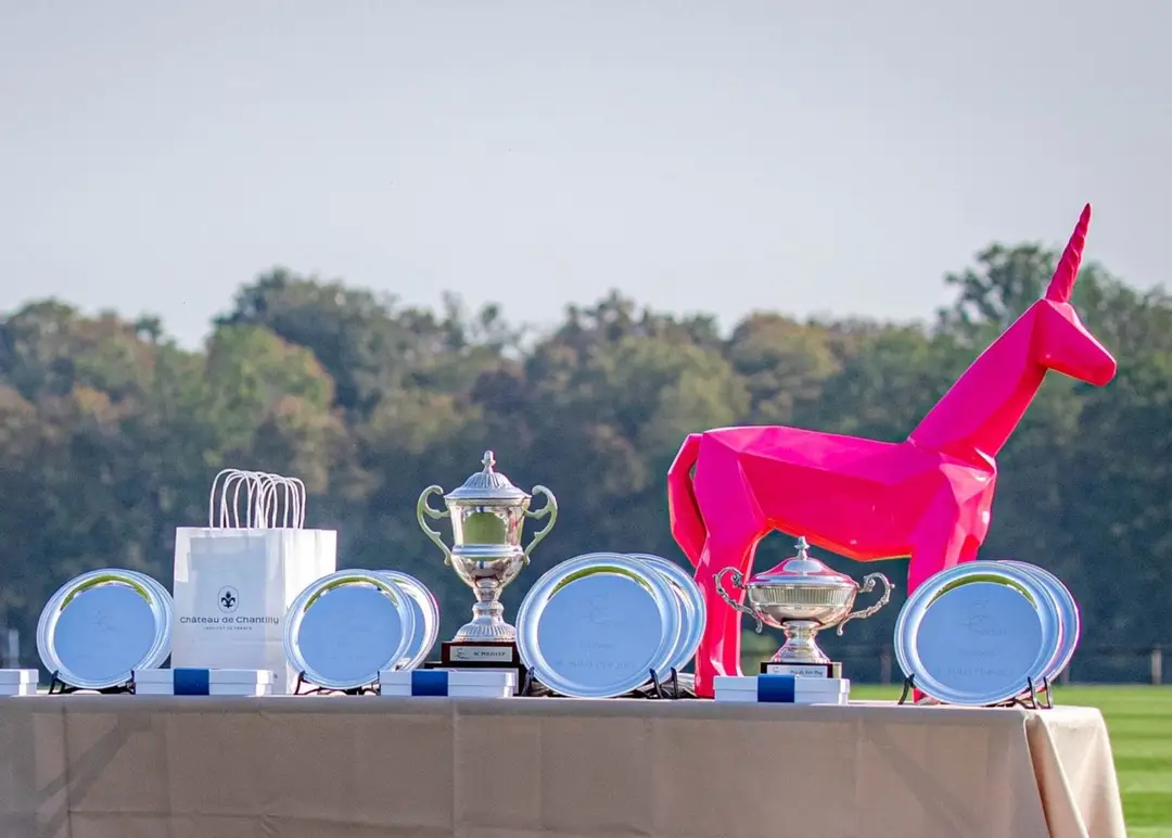 SC Polo (Polo, Initiation Polo,Teambulding, Apremont, Paris)