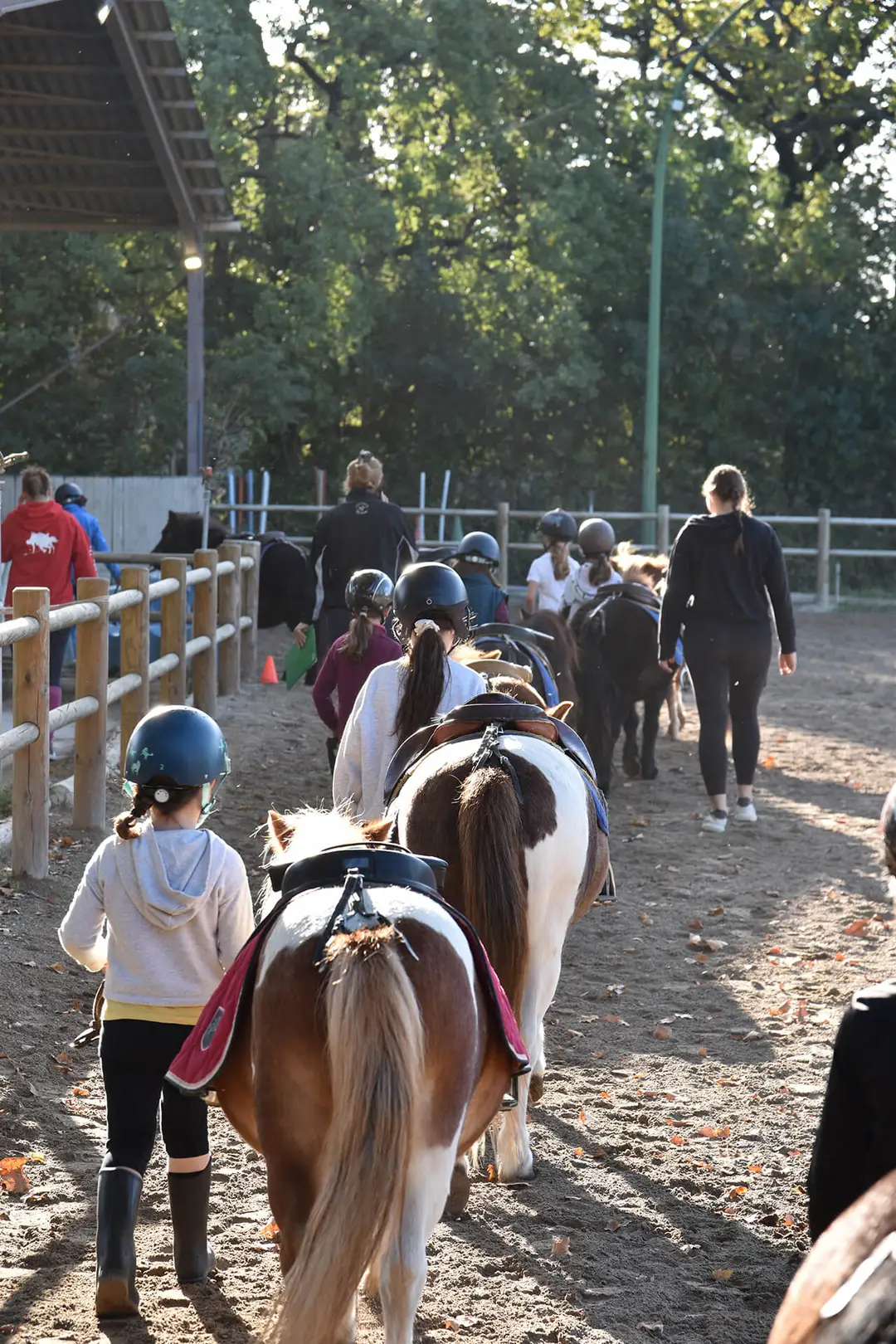 CENTRE EQUESTRE SALONAIS