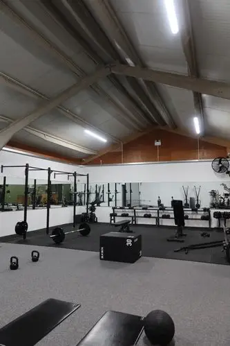 Dan Harris Fitness