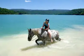 Cavalerie De La Petite Montagne - Juracheval