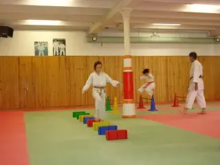 Karate Challenger