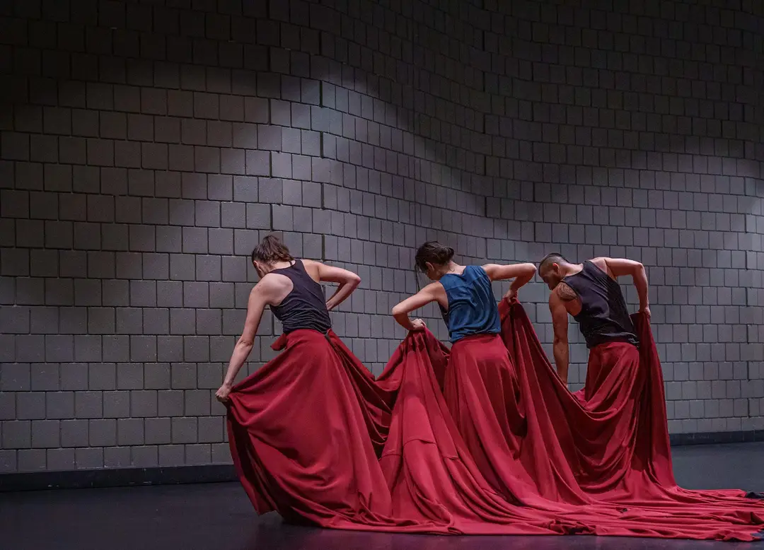 Danza Descalza