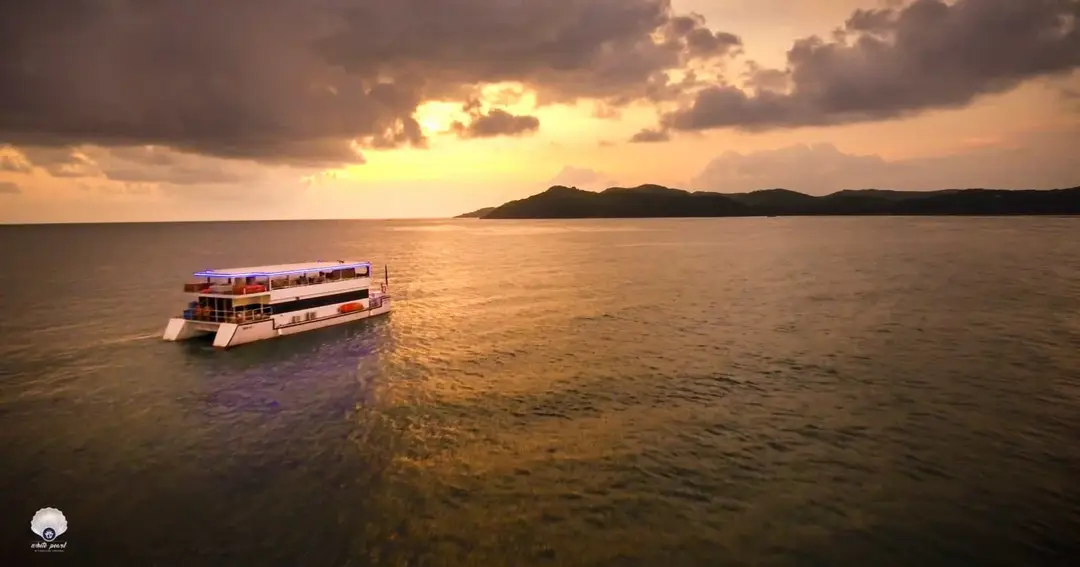 White Pearl Cruise