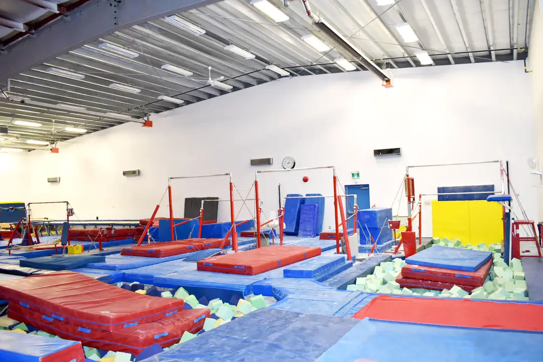 Panthers Gymnastics Inc