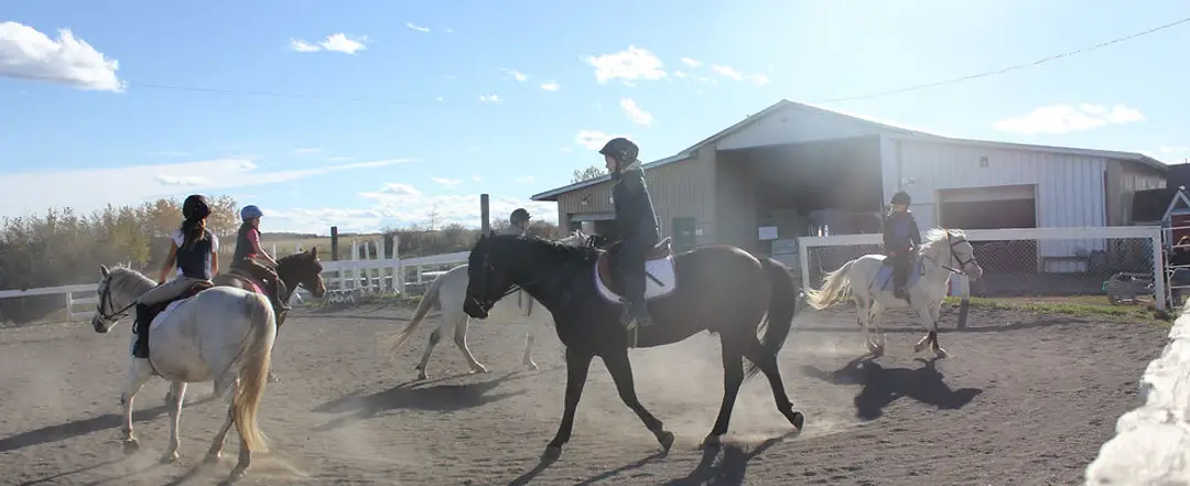 Simpson's Equine Activities