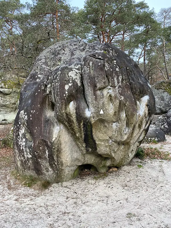 Le Sacre du Printemps (bloc)