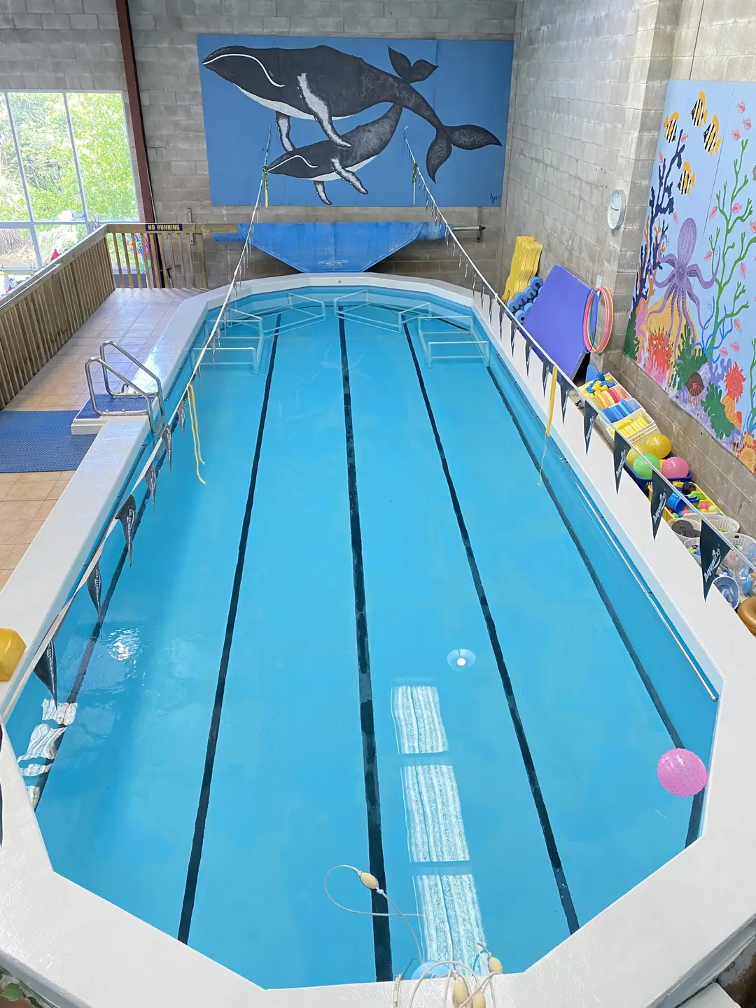 Rangitoto Swim School
