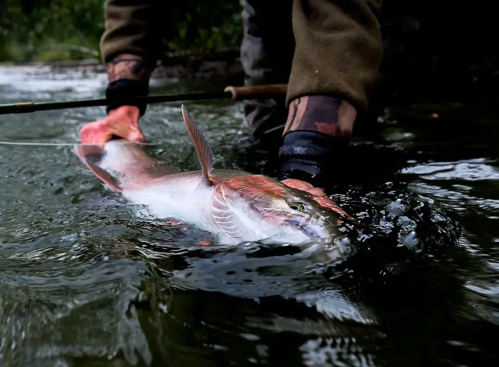 Whistler Fishing Guides Since 1988