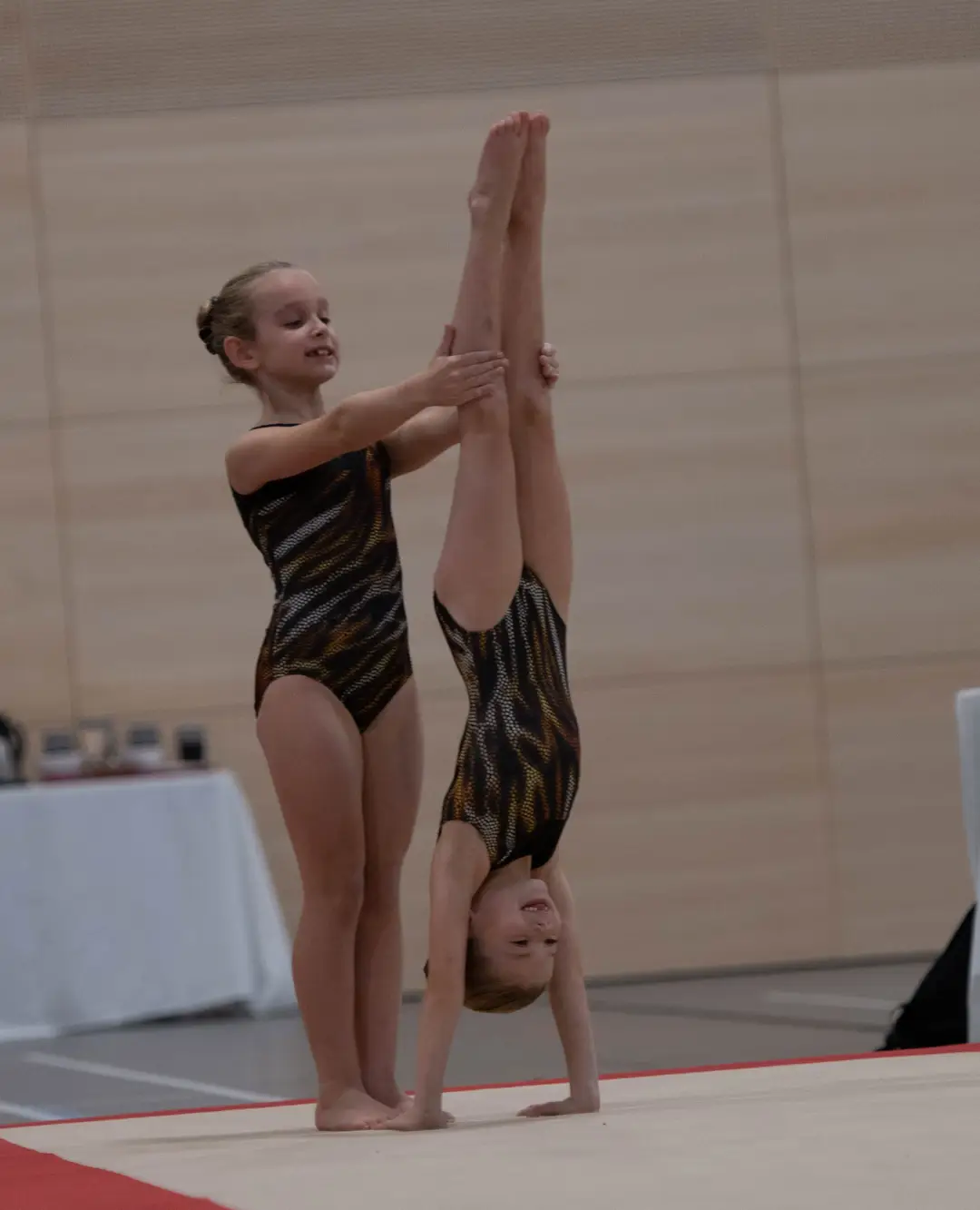 Tigers Gymnastics Centre