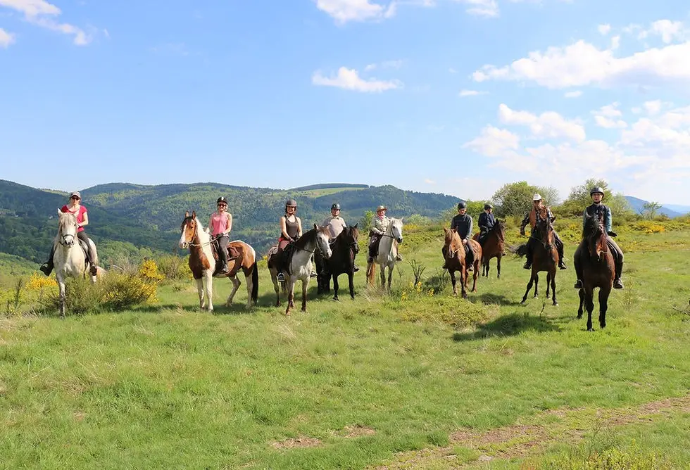 Cheval Alsace
