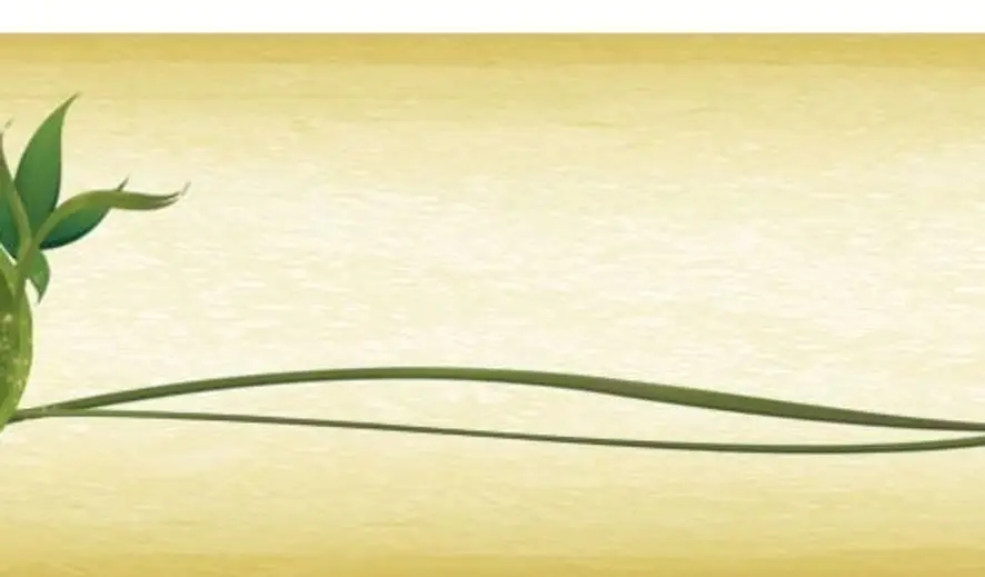 Gabriele Mendes, Acupunctrice / Acusant Wellness Laval