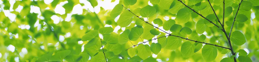Being Well - Mindfulness Practice